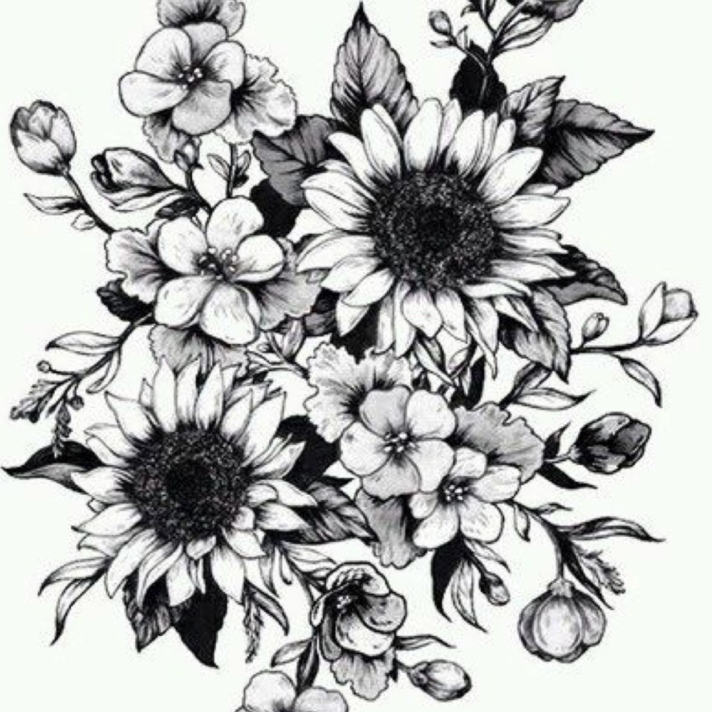 Meet your Posher, Cassidy